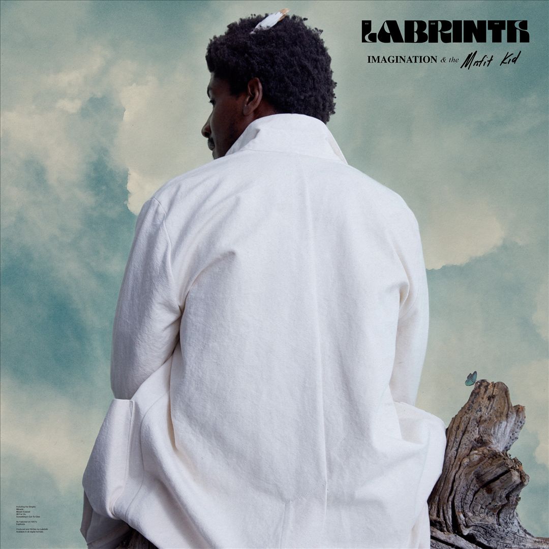 Imagination & the Misfit Kid cover art
