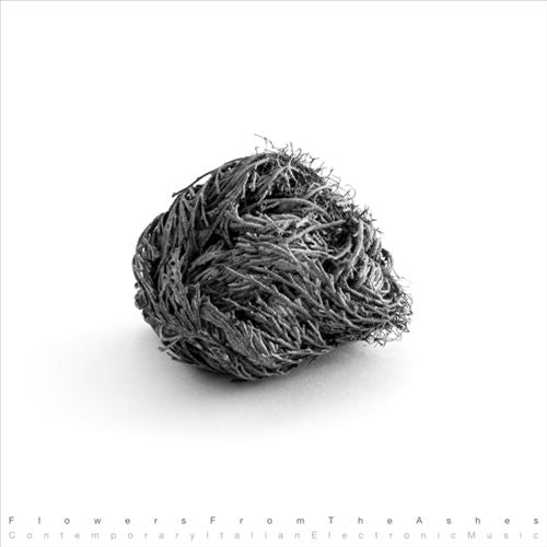 Flowers From the Ashes: Contemporary Italian Electronic Music cover art