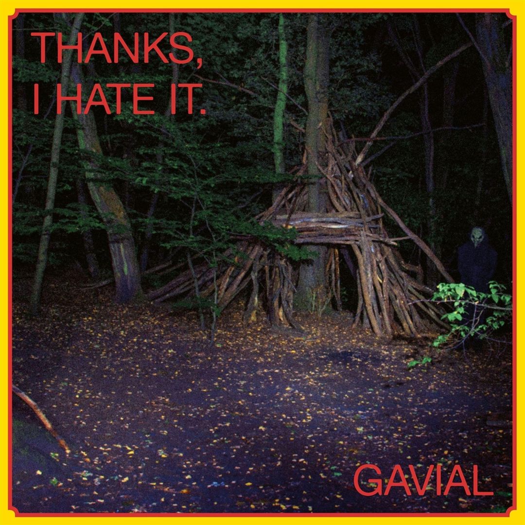 Thanks, I Hate It [LP/CD] cover art