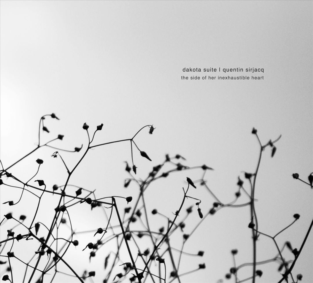 Side of Her Inexhaustible Heart cover art