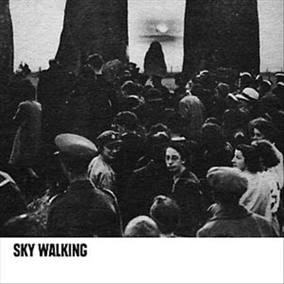 Sky Walking cover art