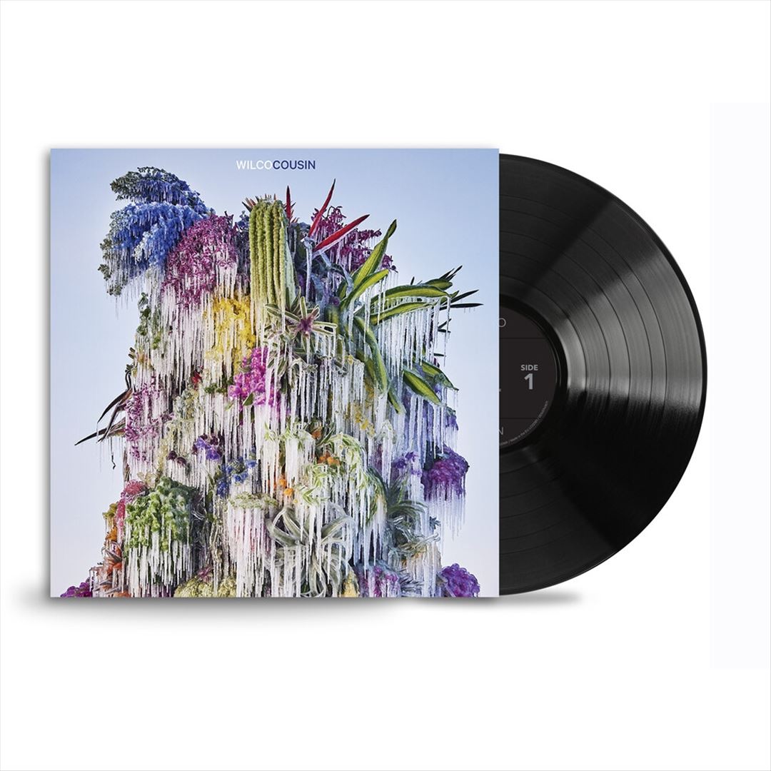 Cousin cover art