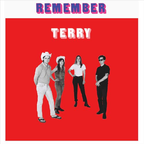 Remember Terry [LP] cover art