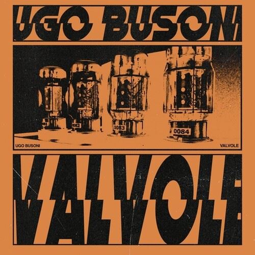 Valvole cover art