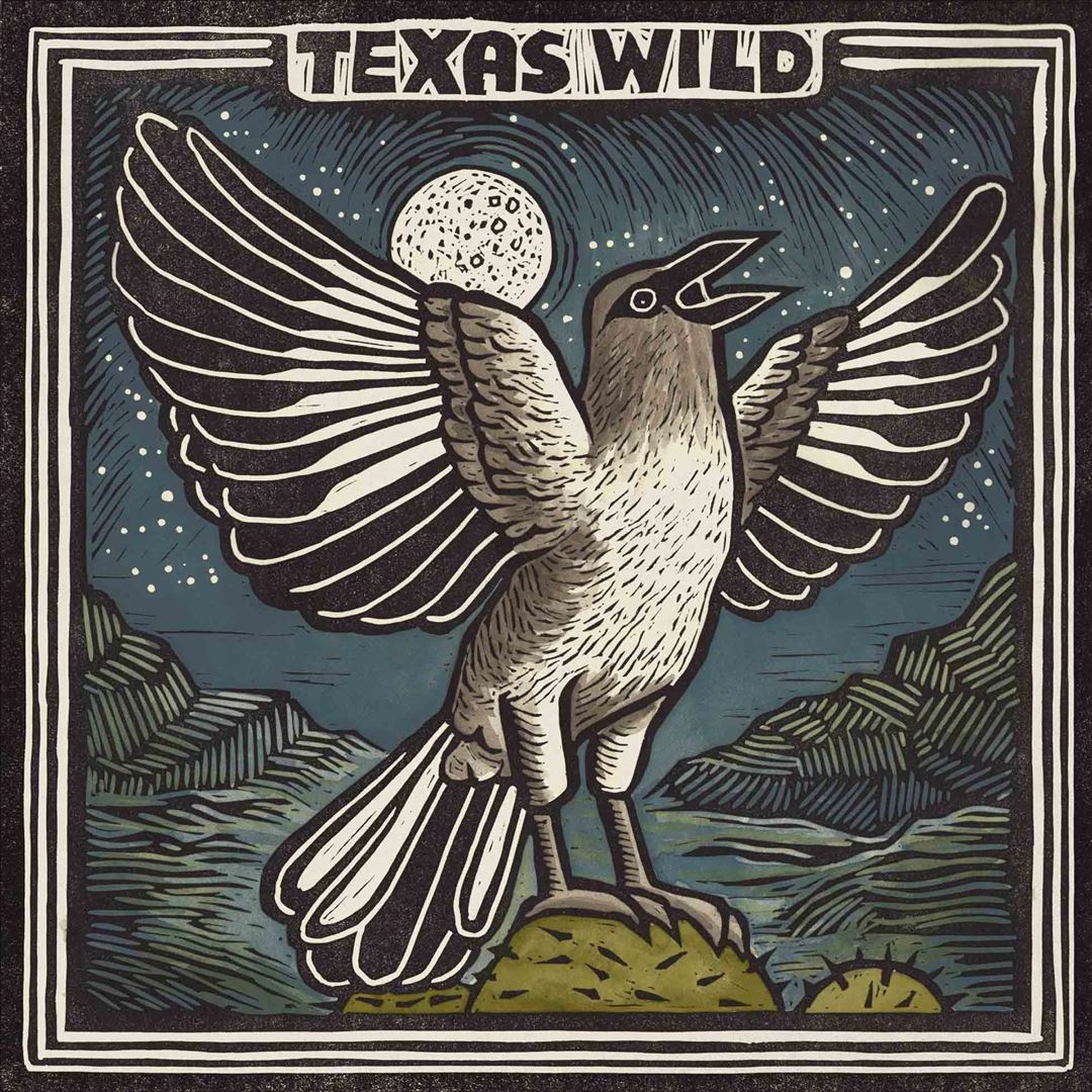 Texas Wild cover art