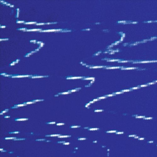 Information Pollution cover art