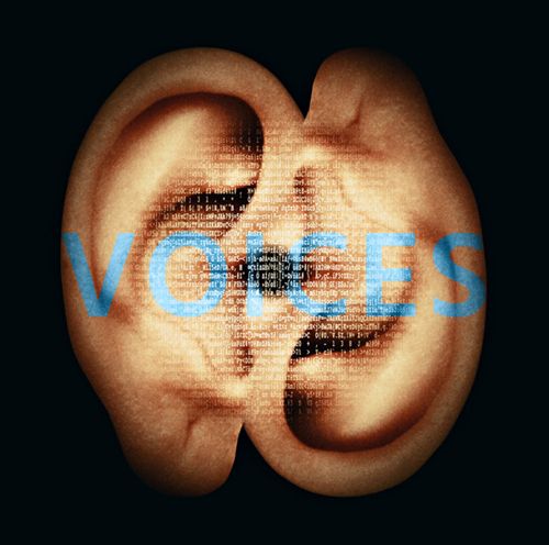 Voices cover art