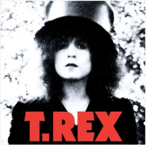 Slider [LP] cover art