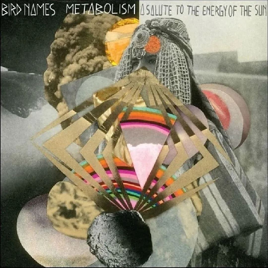 Metabolism: A Salute To the Energy of the Sun cover art