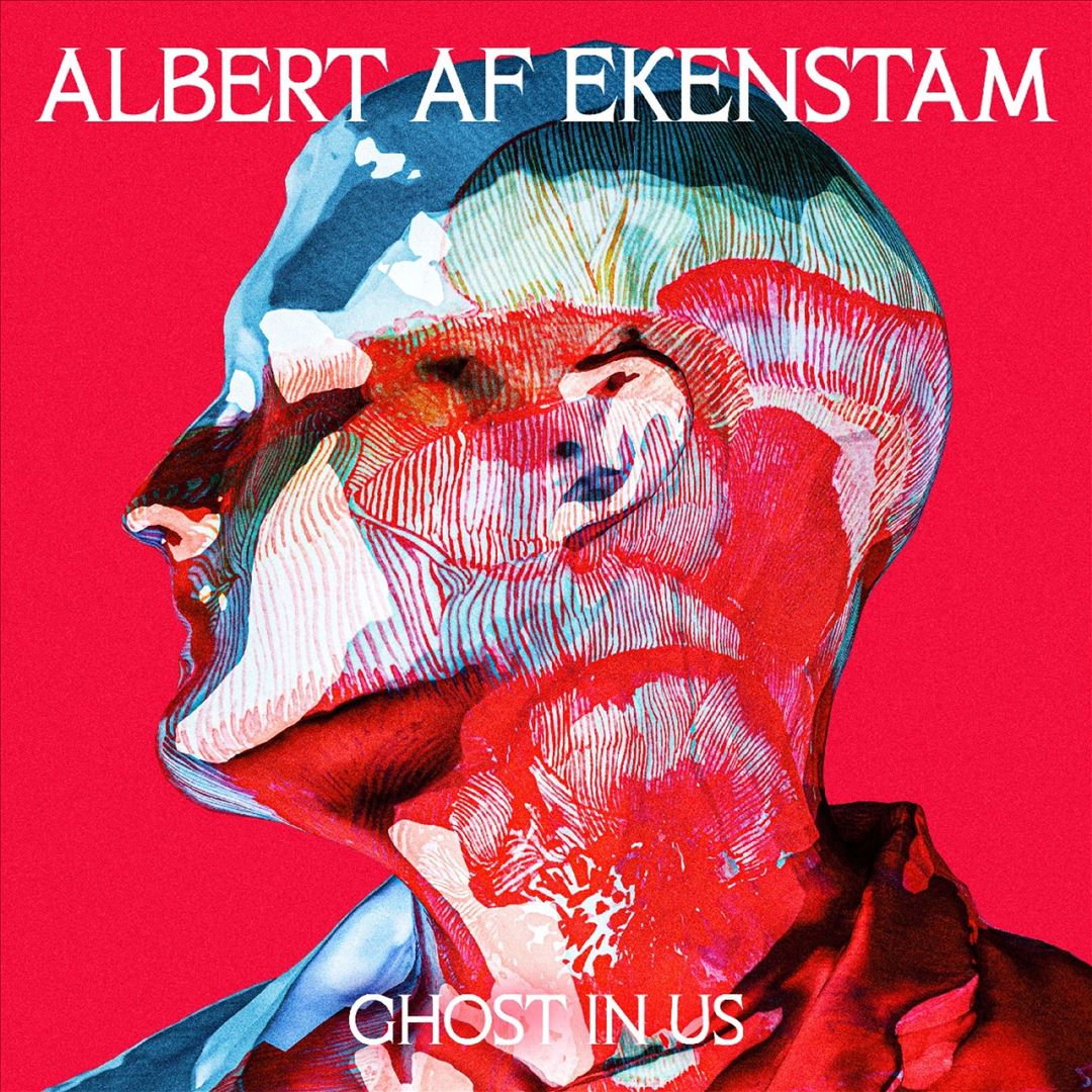 Ghost in Us cover art