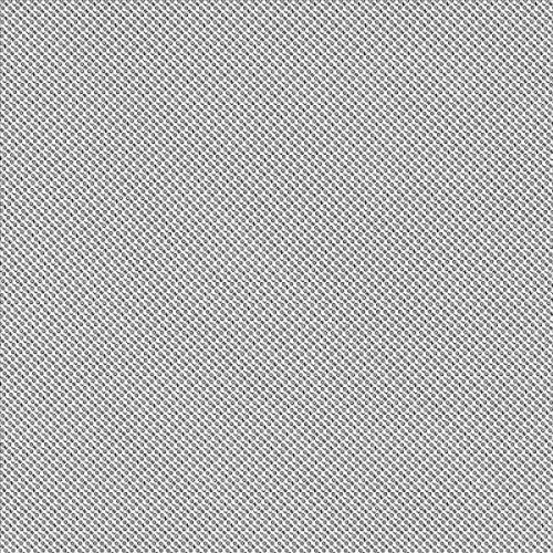 Loon cover art