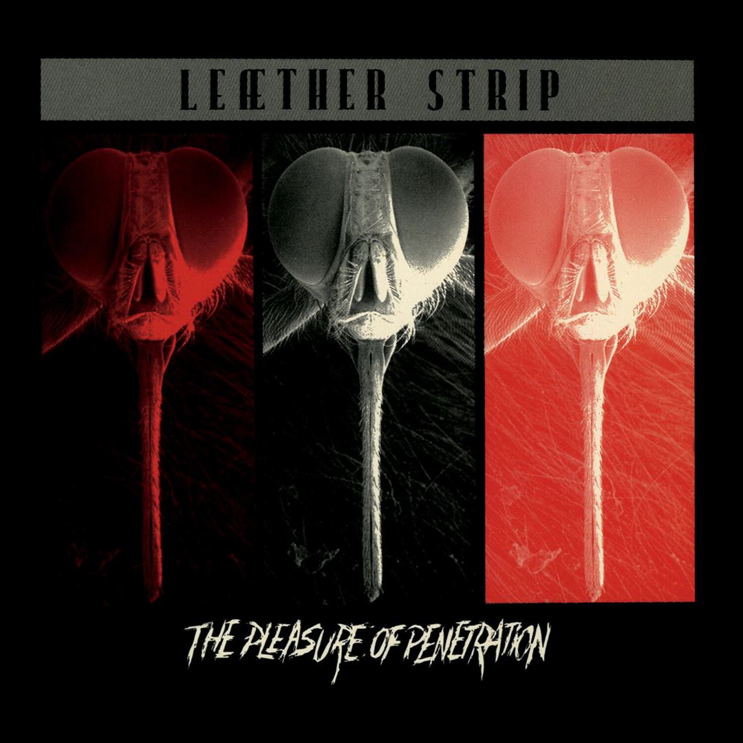 Pleasure of Penetration cover art