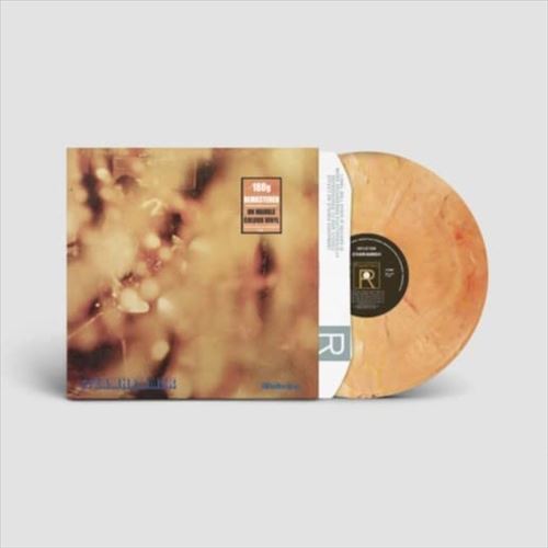 Reflection cover art