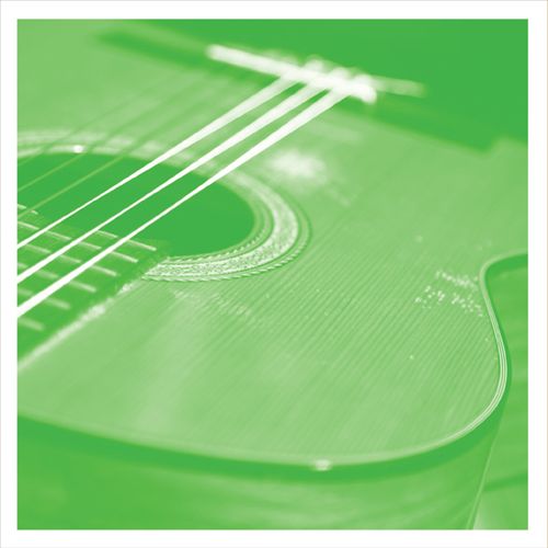 VDSQ: Solo Acoustic, Vol. 13 cover art