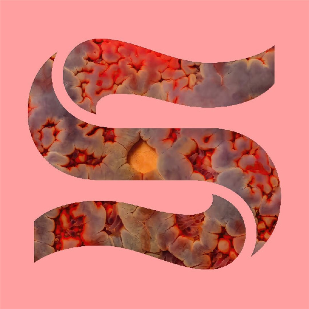 Neptunes cover art