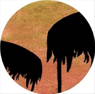 Clavilux cover art