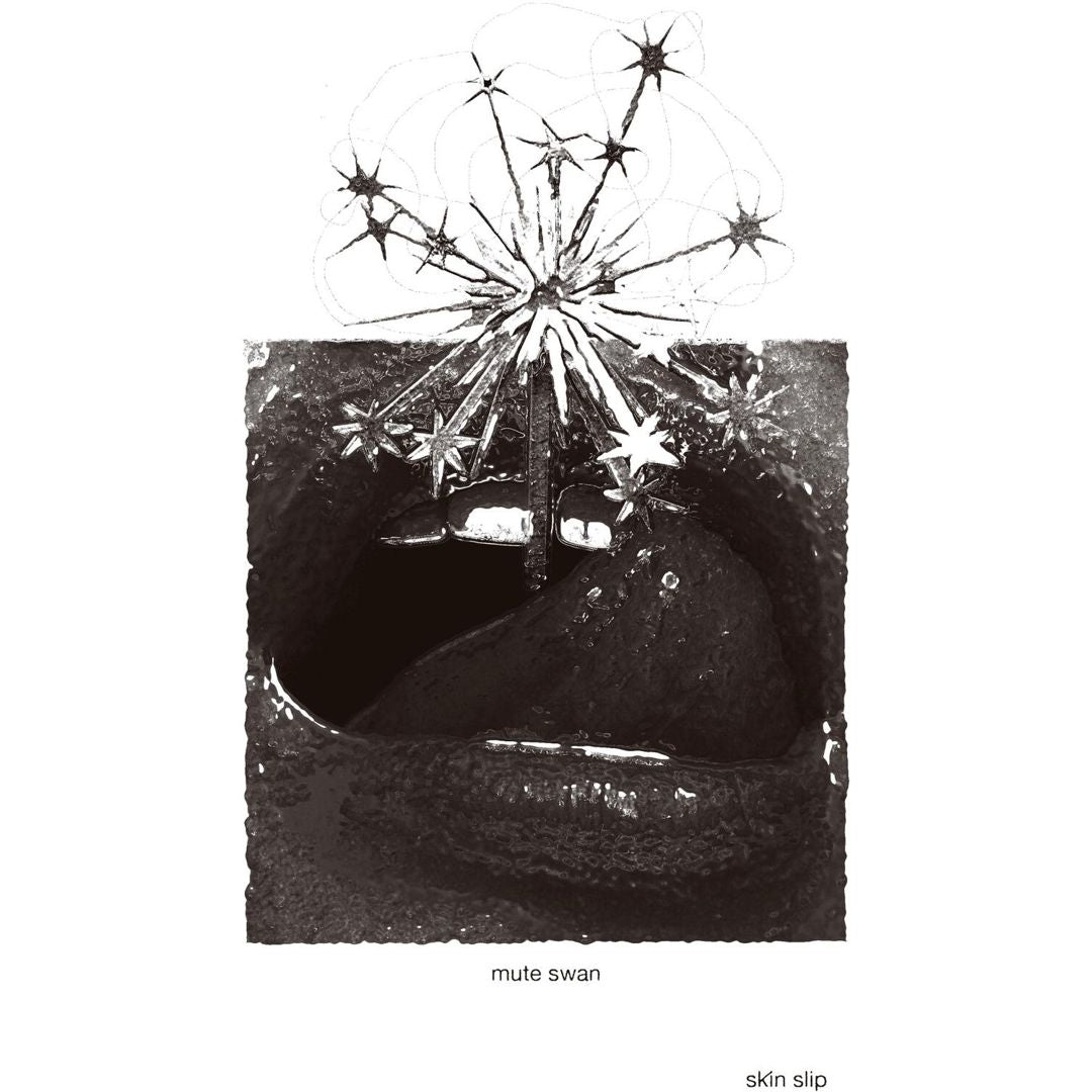 Skin Slip cover art