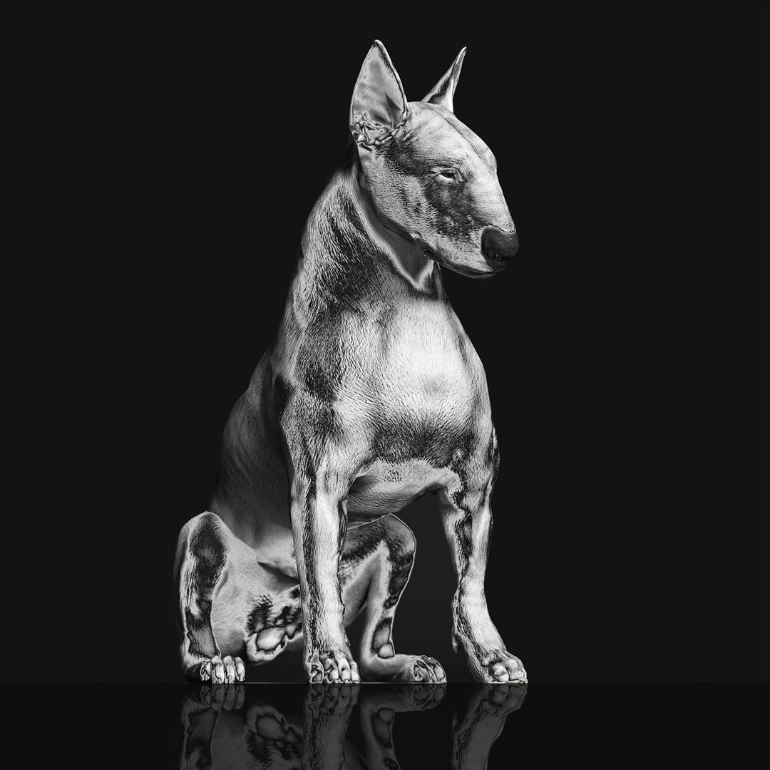 Platinum Statue cover art
