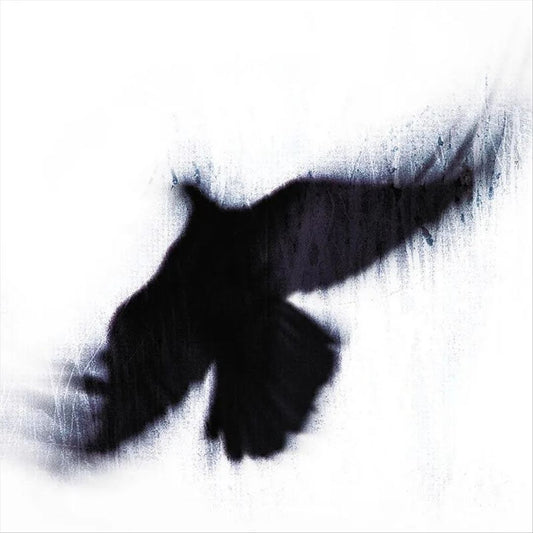 Fallen Host cover art