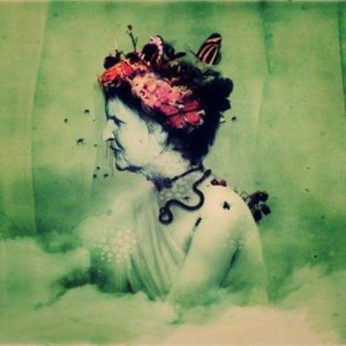Empress Rising cover art
