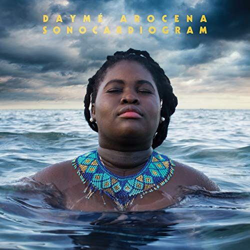 Sonocardiogram cover art