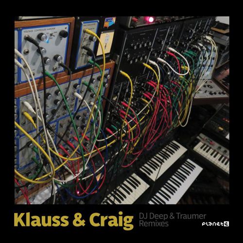 DJ Deep & Traumer Remixes cover art