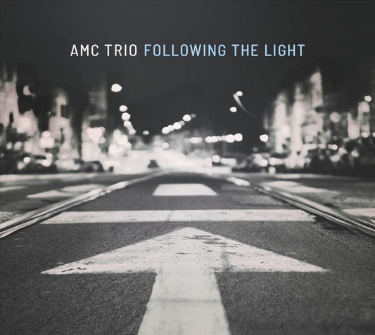 Following the Light cover art