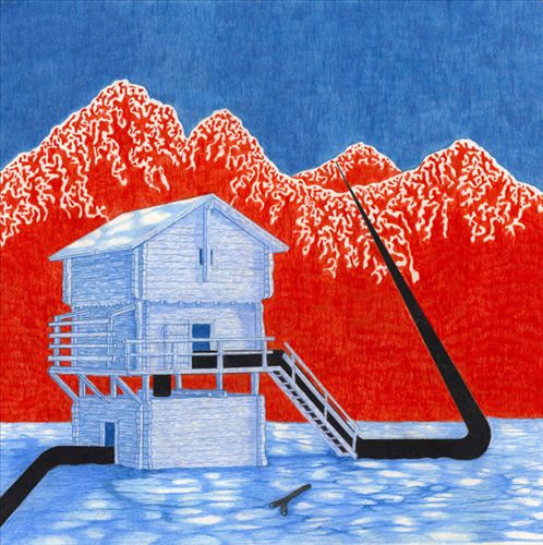 Millipede cover art