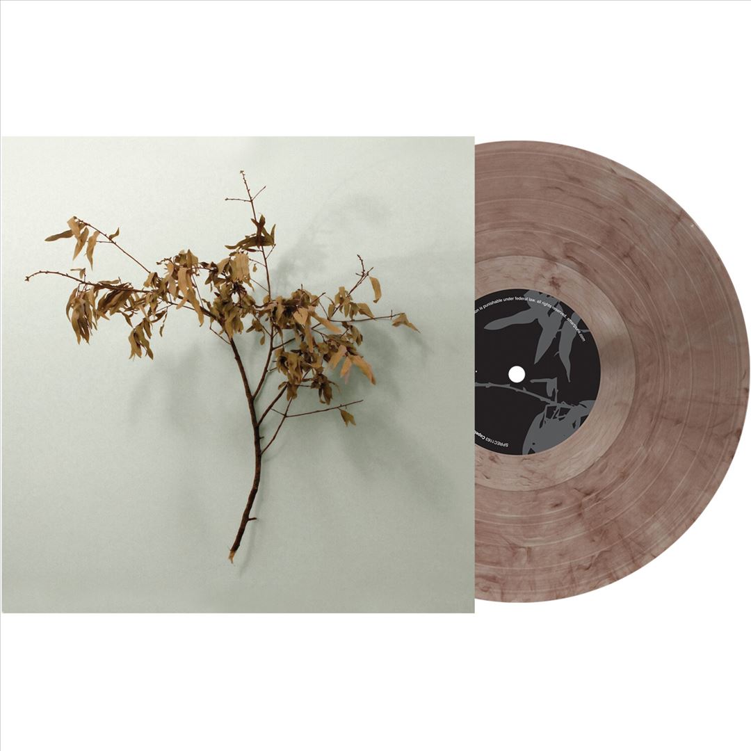 In Motion cover art