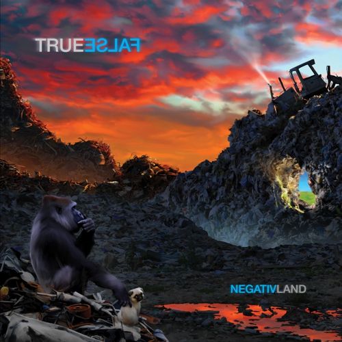 True False cover art