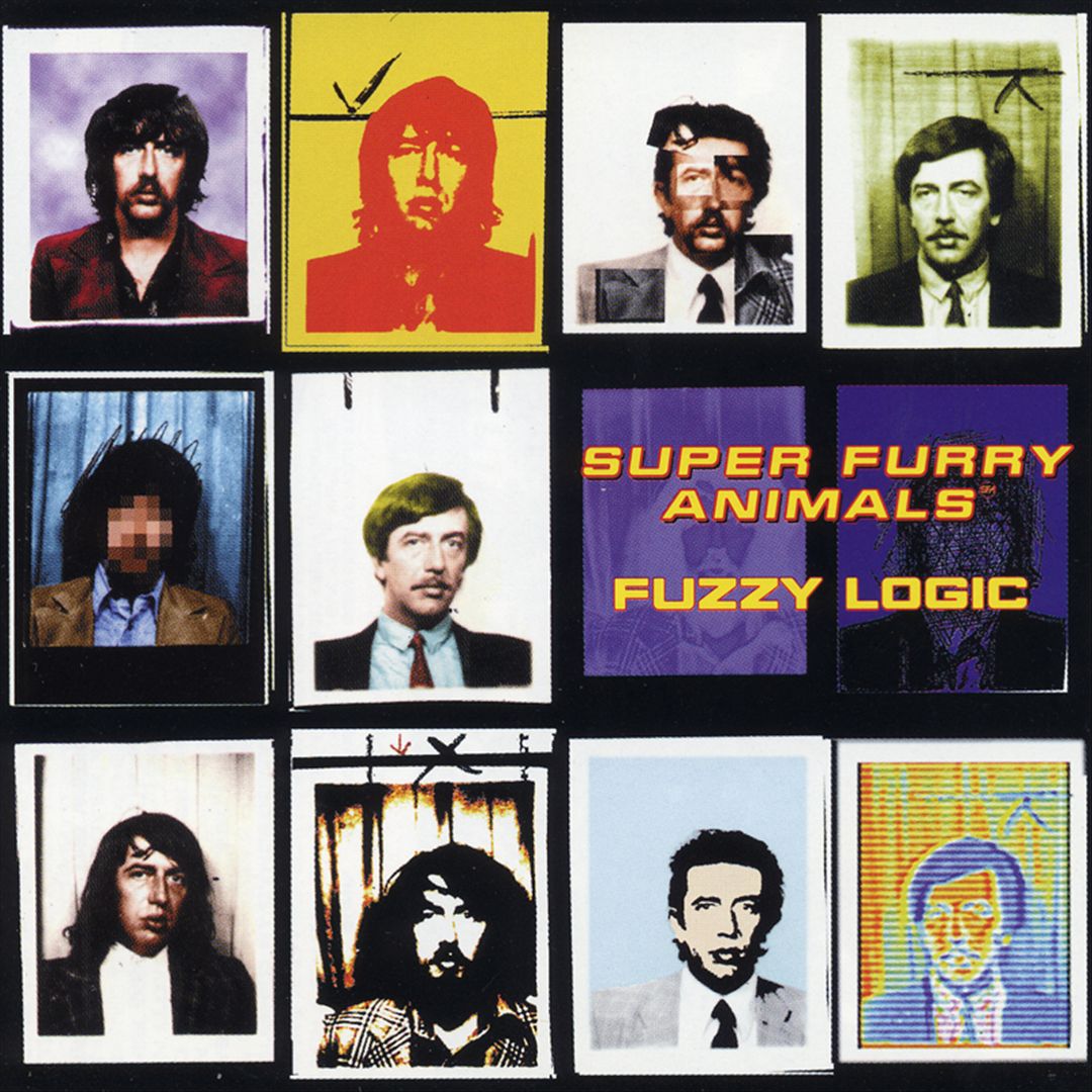 Fuzzy Logic: 20th Anniversary Deluxe Edition [LP] cover art