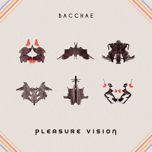 Pleasure Vision cover art