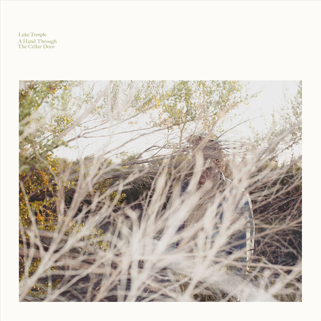 Hand Through the Cellar Door cover art