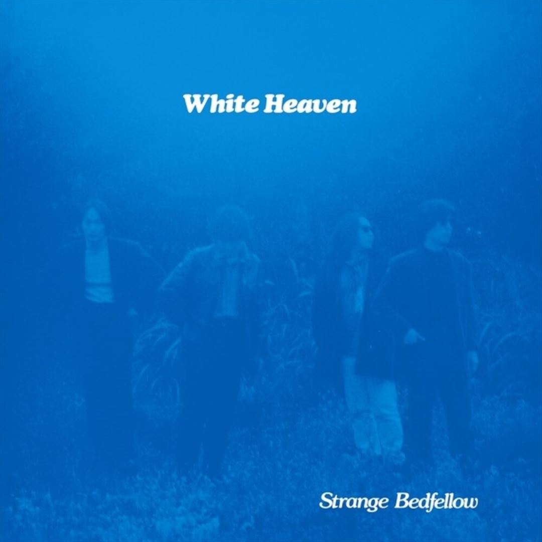 Strange Bedfellow cover art