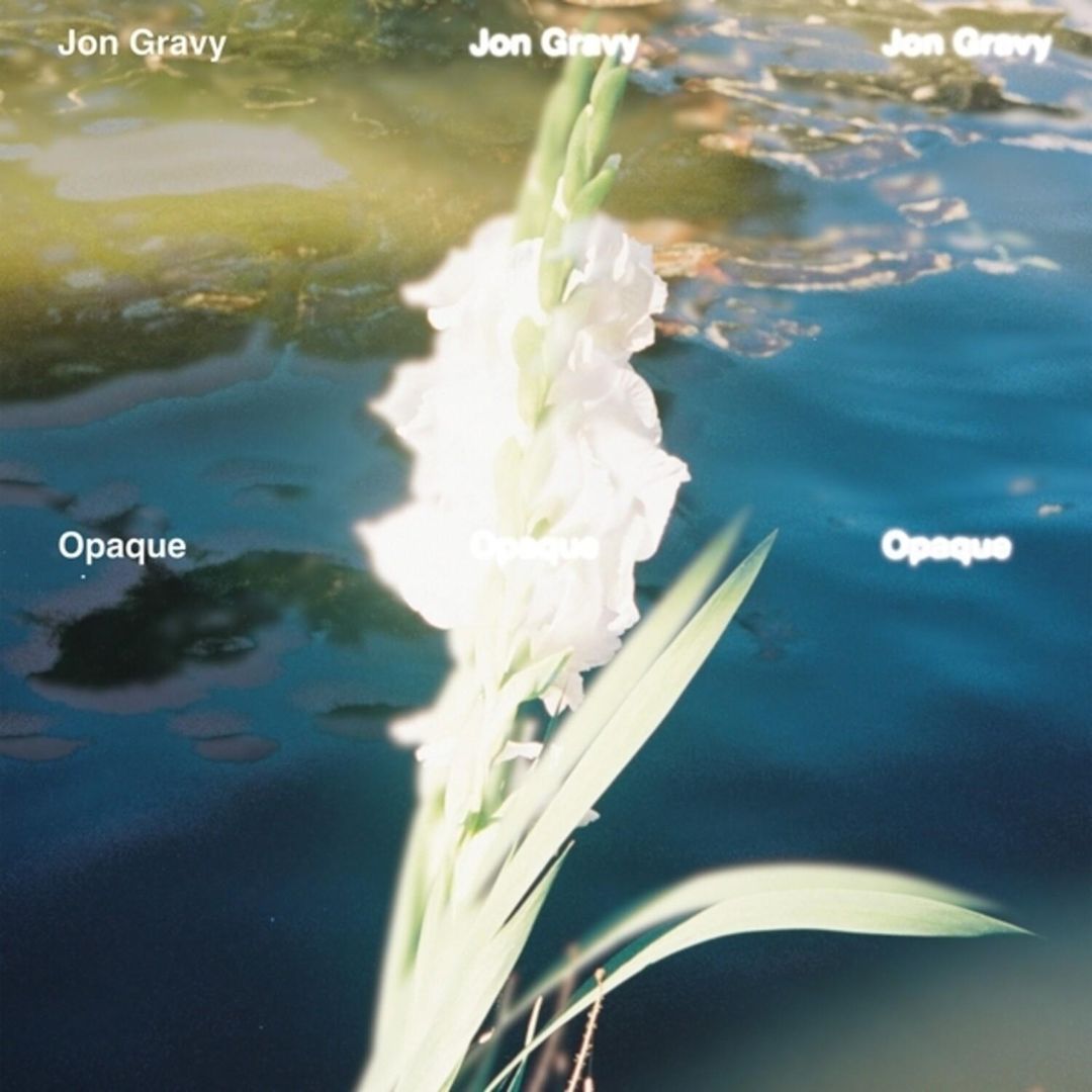Opaque cover art