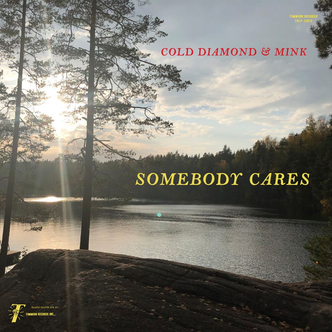 Somebody Cares cover art