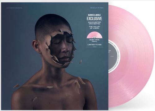 Valley of Vision [Baby Pink Vinyl] [B&N Exclusive] cover art