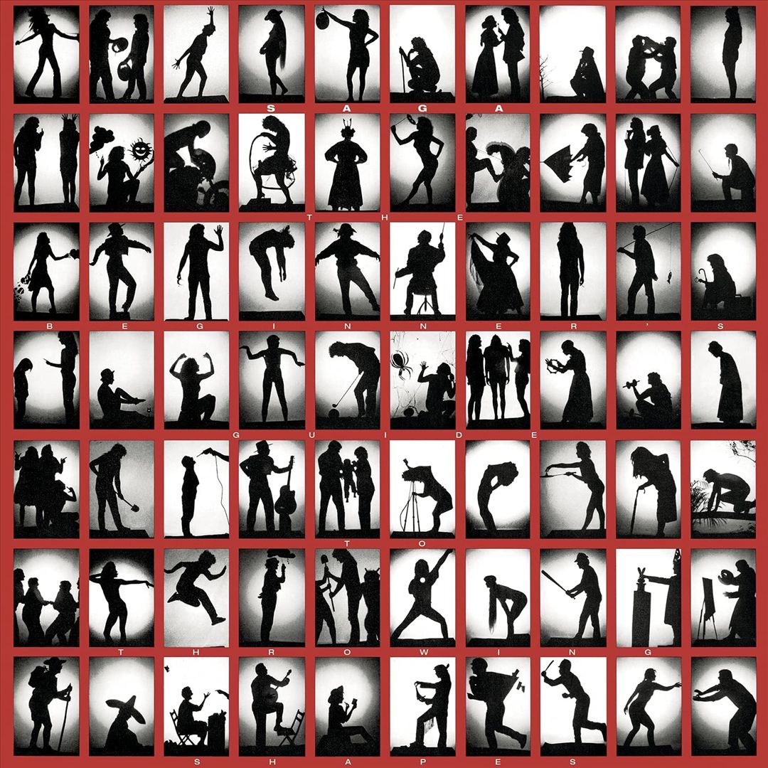 Beginner's Guide to Throwing Shapes cover art