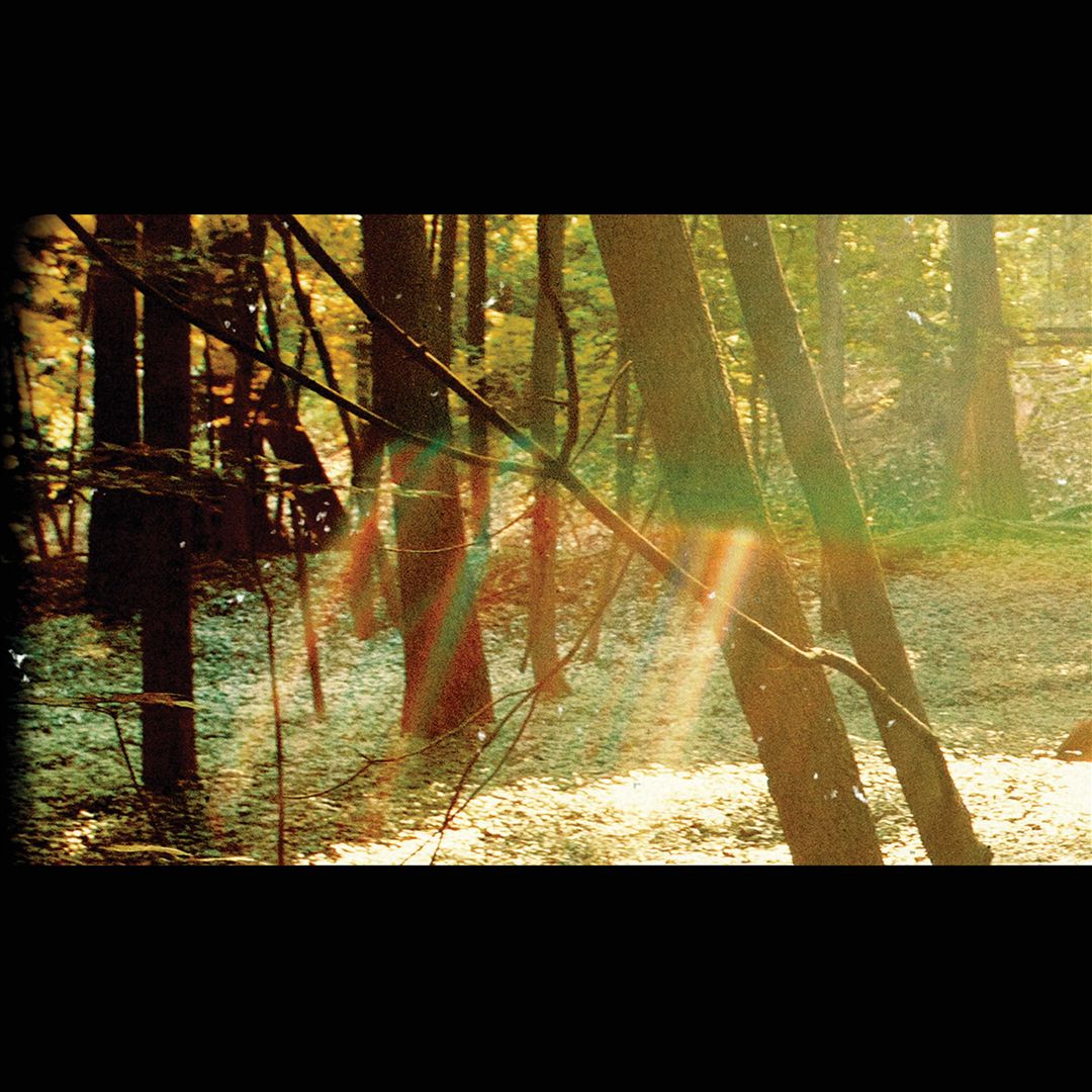 Camp [LP] cover art
