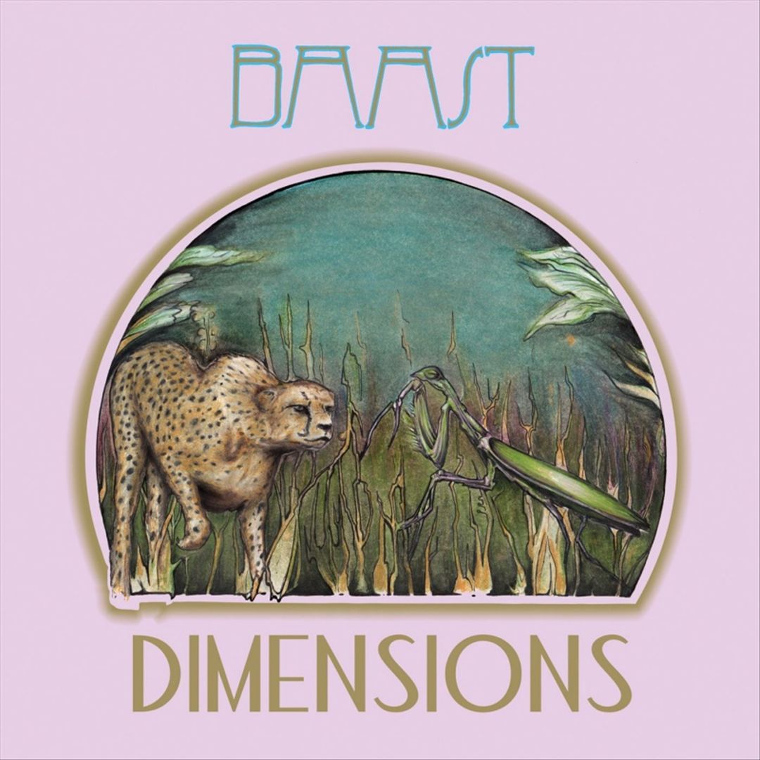 Dimensions cover art