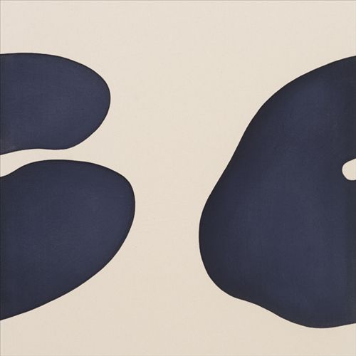 Fifty Eleven Project cover art