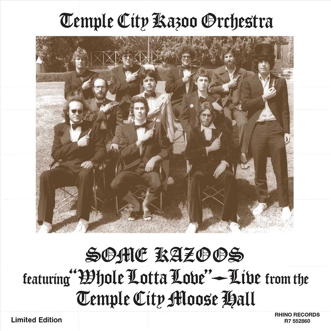 Some Kazoos cover art