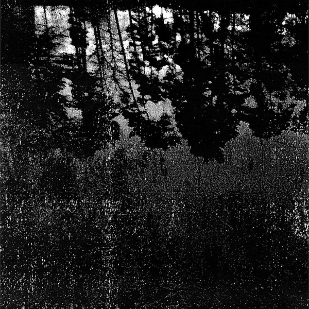 Gelderse Poort cover art
