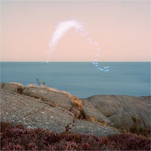 Overview on Phenomenal Nature cover art