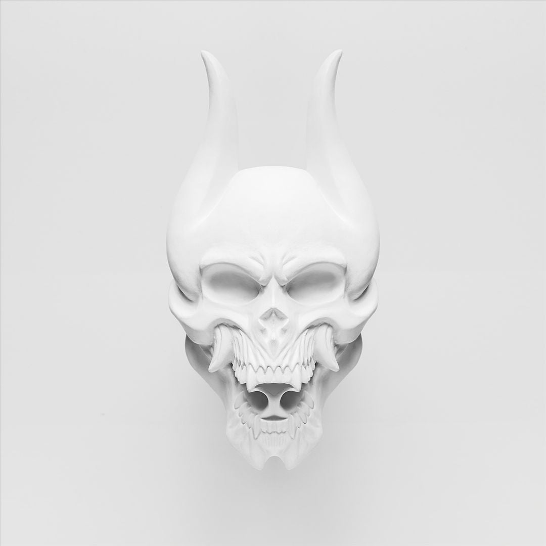 Silence in the Snow [LP] cover art
