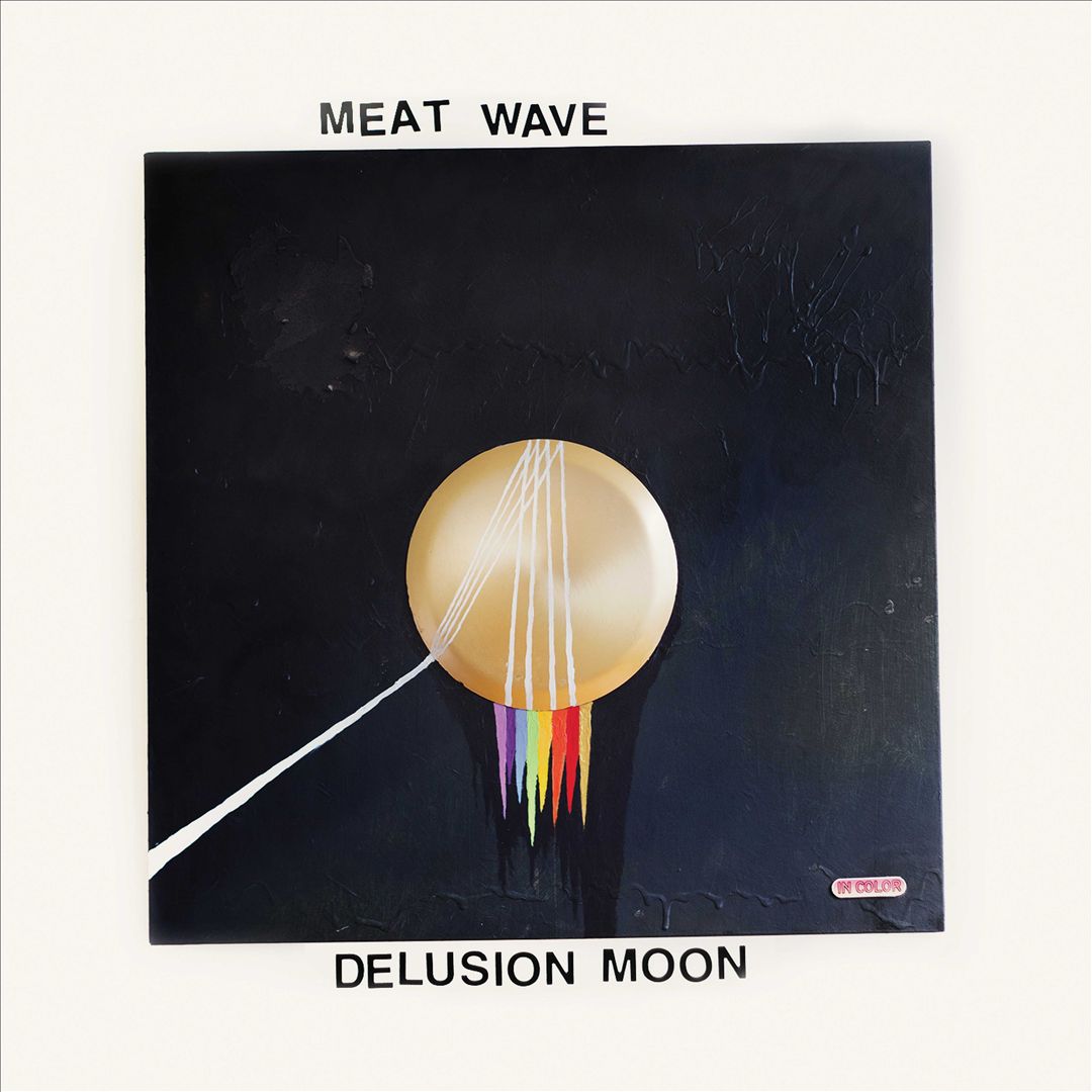 Delusion Moon cover art