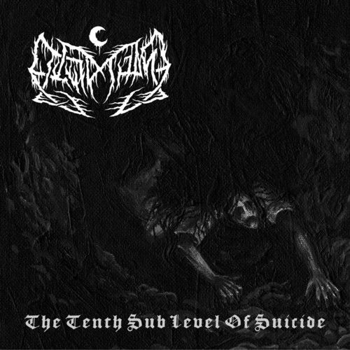 Tenth Sub-Level of Suicide [LP] cover art