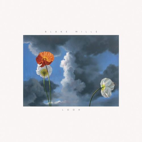 Look cover art
