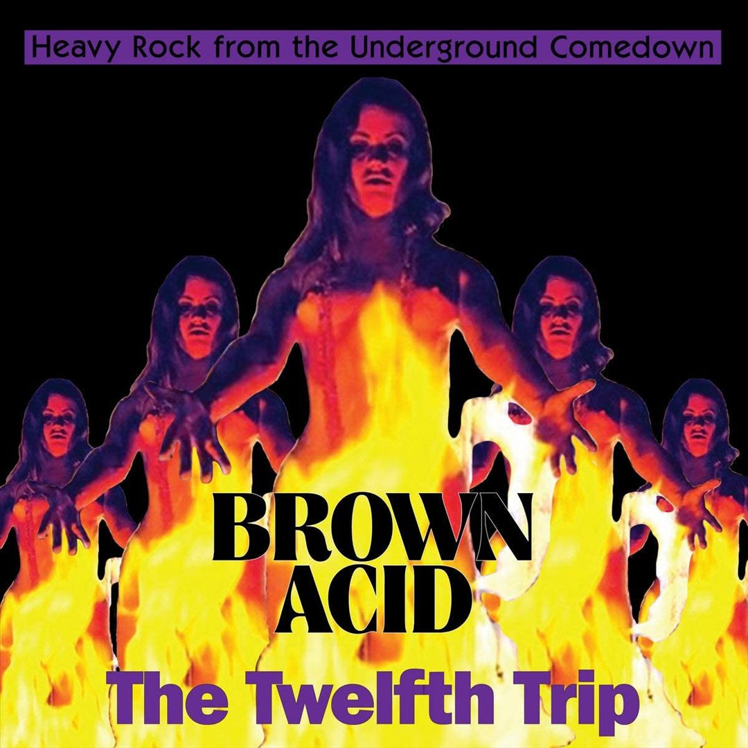 Brown Acid: The Twelfth Trip cover art