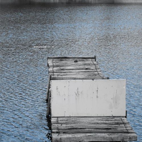 Dental Kafka cover art